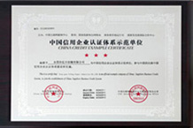 中国信息企业认证体系示范单位-榴莲视频色板下载污YFA榴莲视频色污版厂